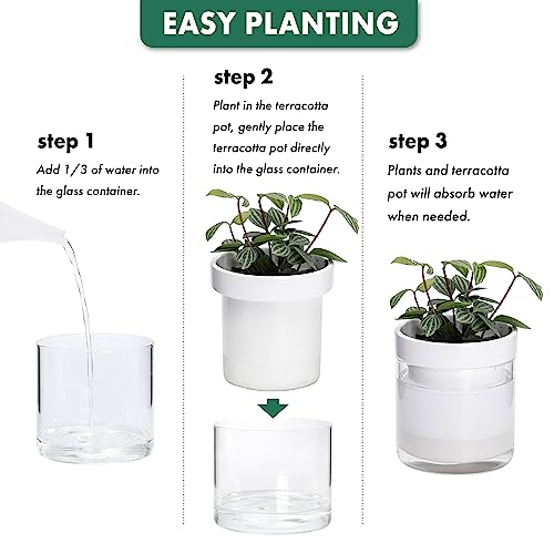 6 Inch Self Watering Planter