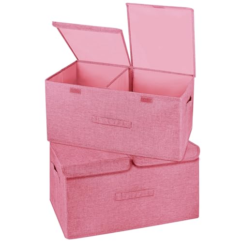 2 Pack Storage Boxes with Lids and Handles (2 Count)