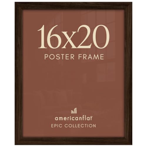 16x20 Poster Frame