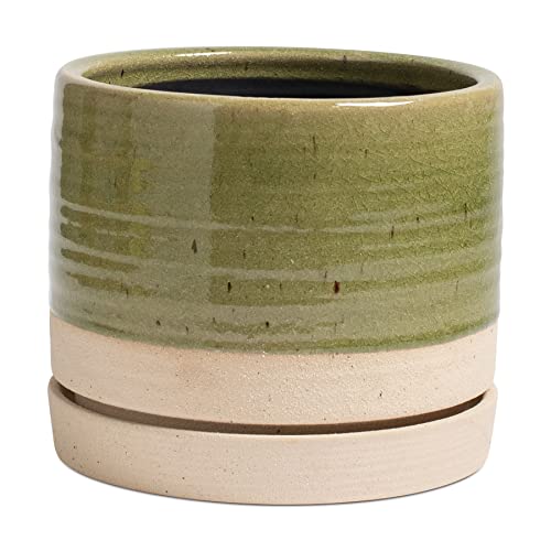 8 Inch Pots for Plants