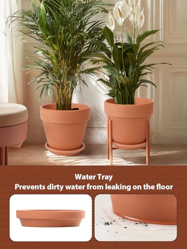 Terracotta Pot Set of 2 with Saucer (2 Count)