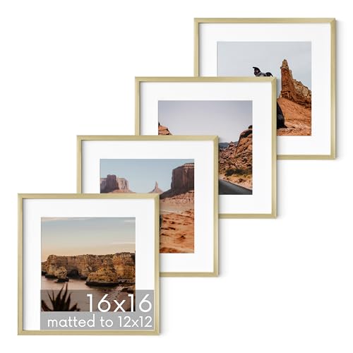 16x16 Gold Metal Picture Frames Matted to 12x12 (4 Count)