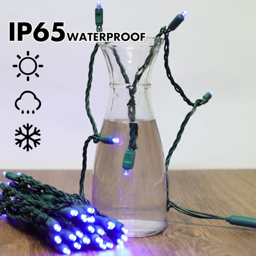 Blue Christmas Lights Outdoor Waterproof (200 Count)