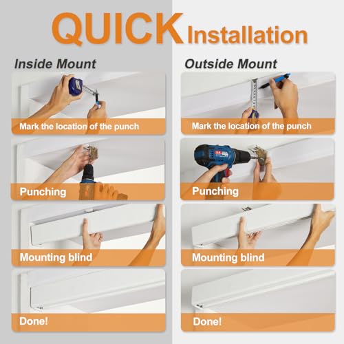 Blackout Roller Shades & Blinds Windows Shades Free