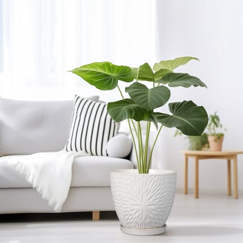 8 Inch Ceramic Plant Pot with Drainage Hole and Saucer