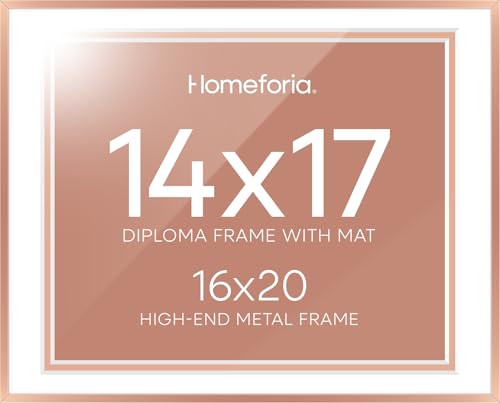 16x20 Rose Diploma Frame (2 Count)