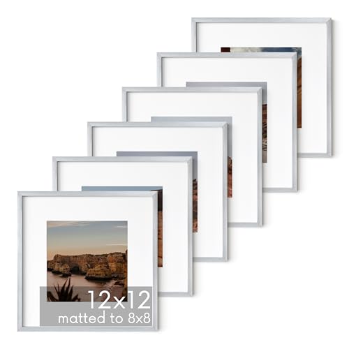 12x12 Silver Metal Picture Frames Matted to 8x8