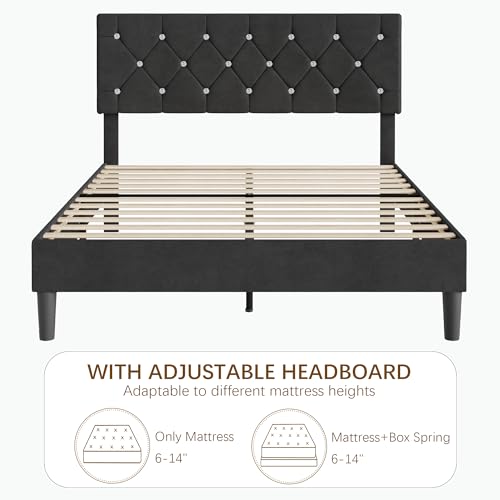 Queen Size Bed Frame