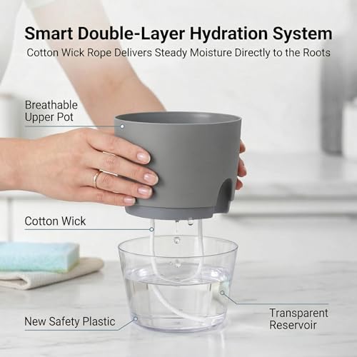 6 Inch Self Watering Pots for Indoor Plants African Violet Pots (3 Count)