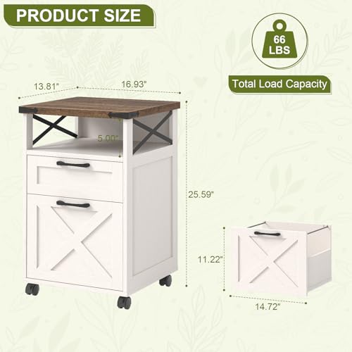 Office Filing Vertical Cabinet with 2 Drawers