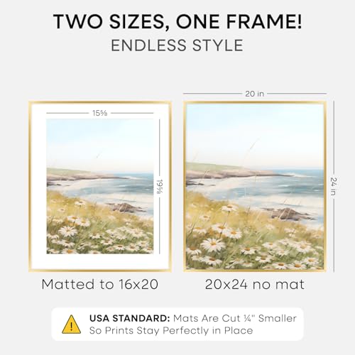 20x24 Gold Picture Frame