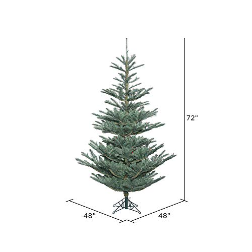 G160460 Alberta Blue Spruce Christmas Tree