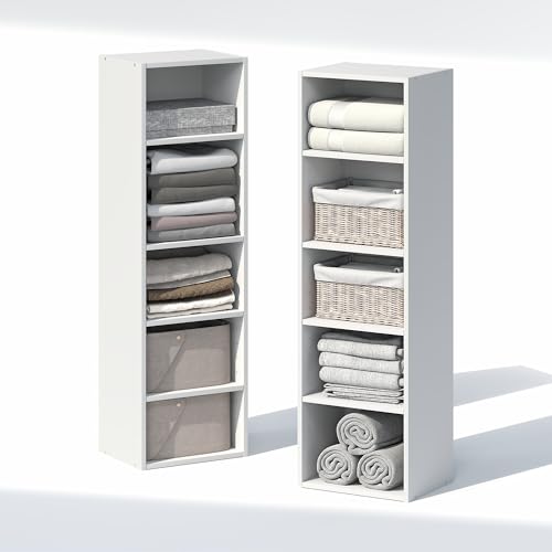 PASIR 10 Tier Closet Organizers and Storage