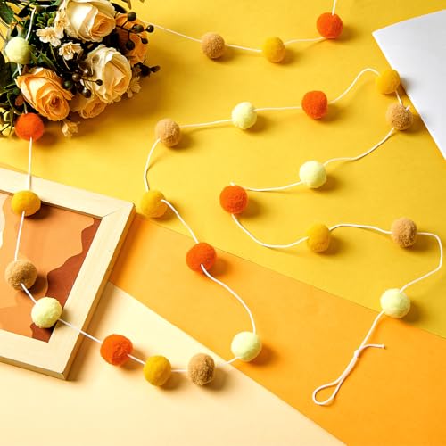 4 Pcs 9.8 ft Pom Pom Garland for Classroom Bulletin Board (4 Count)