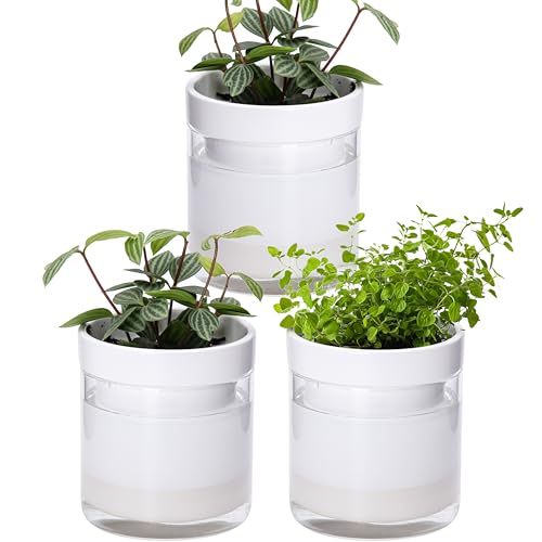 4 Inch Self Watering Planter (3 Count)