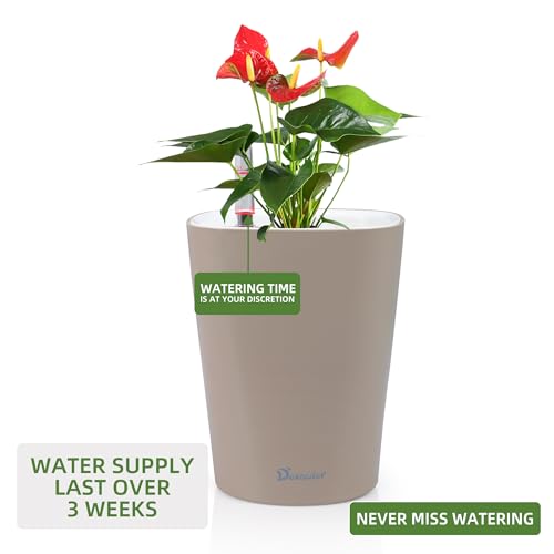 6x7 Self Watering Planter