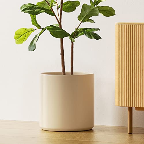 12 Inch Pot for Plants