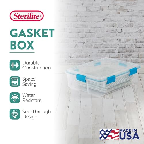 Gasket Storage Box with Lids for Home & Office (4 Count)