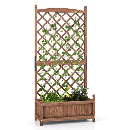 2 60” Raised Garden Bed with Trellis