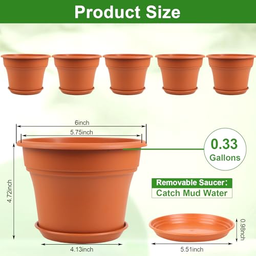 6 Inch Plastic (6 Count)