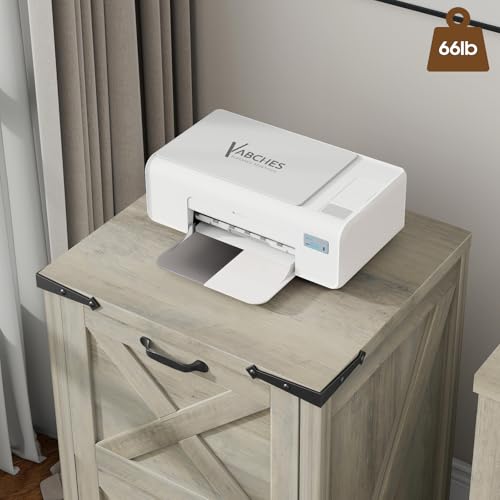 Vertical File Cabinet with 2 Drawers for Home Office