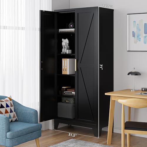 71'' Farmhouse Metal Storage Cabinet with Barn Doors