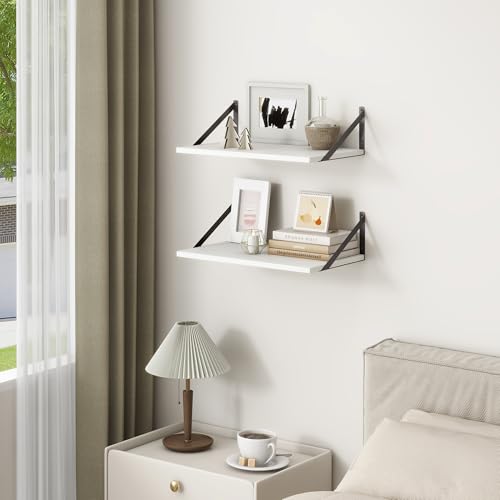 20 Inch Floating Shelves for Wall (2 Count)