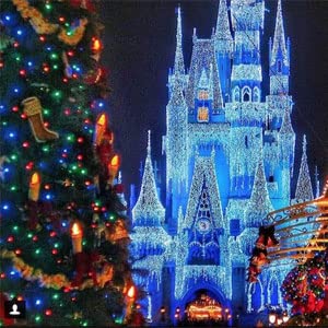 Fairy Lights Battery Operated (20 Foot)