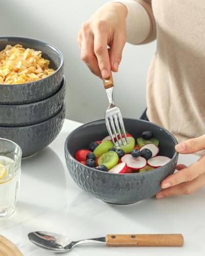 Soup Bowls Cereal Bowls Set of 4 (4 Count)