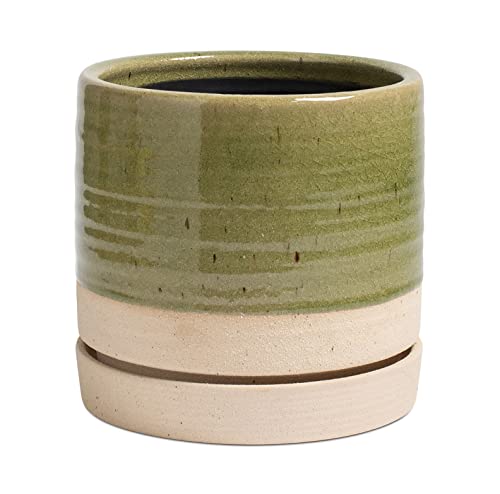 6 Inch Plant Pots