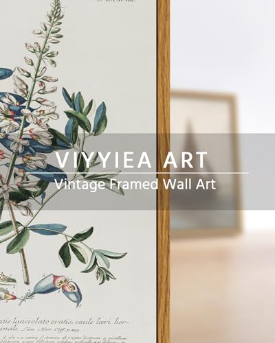 Framed Botanical Wall Art Herb Canvas Prints