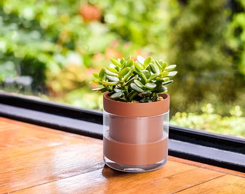 4 Inch Self Watering Planter Pot (4 Count)
