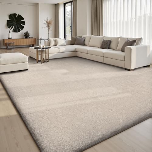 5x7 Area Rugs for Living Room Bedroom