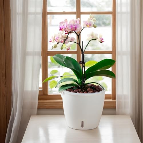 Self Watering Pots for Indoor Plants (8 Count)