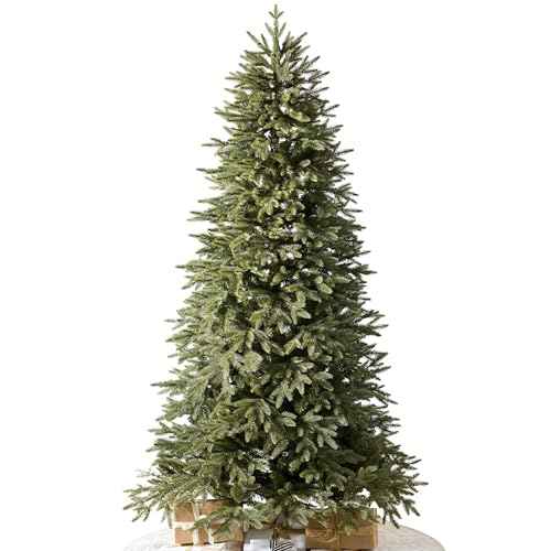 Stratford Spruce