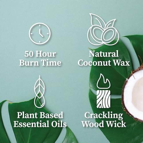 Palo Santo Mountain Sage Crackling Wood Wick Candle