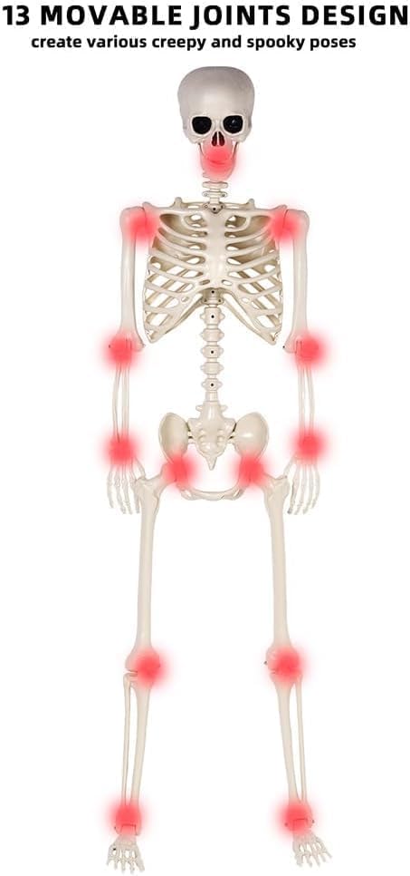 2 Pack 36" Halloween Skeleton