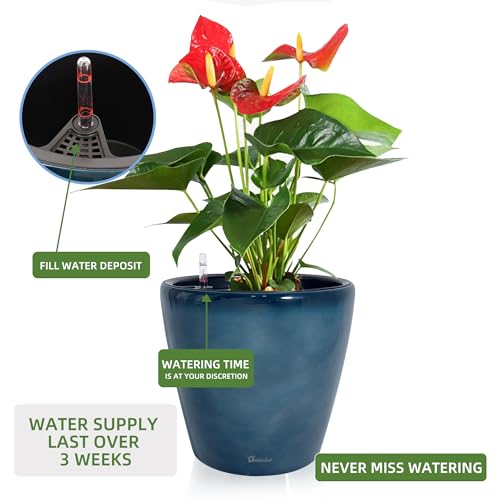 13x12 Self Watering Planter with Wheels