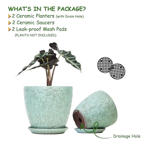 8 Inch + 6 Inch Plant Pots for Indoor Plants (2 Count)