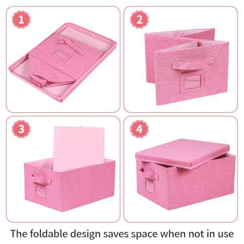 Storage Bins With Lids Closet Organizer Cabinet Box For Clothes (2 Count)