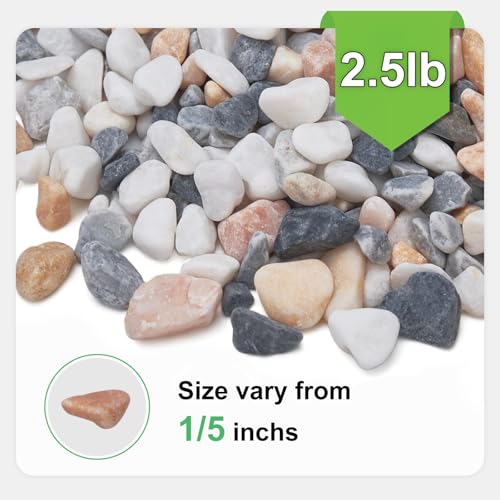 2.5 lbs Small Rocks for Plants