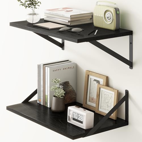 20 Inch Floating Shelves for Wall (2 Count)