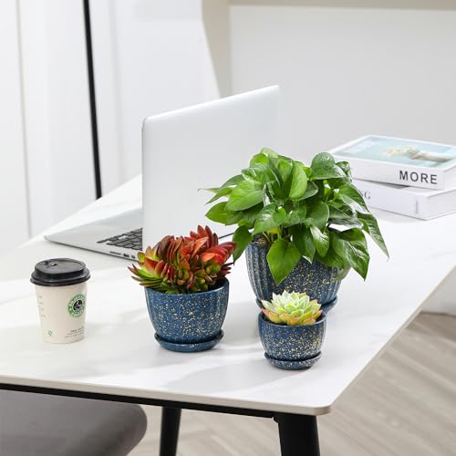 Ceramic Plant Pots with Saucers (3 Count)