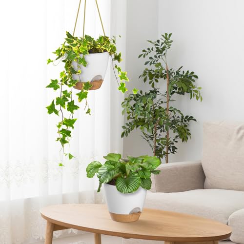 6.5 Inch Hanging Planters for Indoor Outdoor Plants (2 Count)