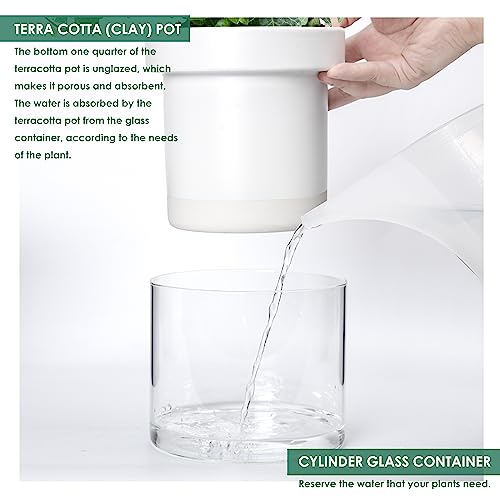6 Inch Self Watering Planter