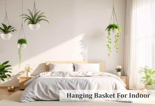 Hanging Planters 8 Inch & 10 Inch (4 Count)