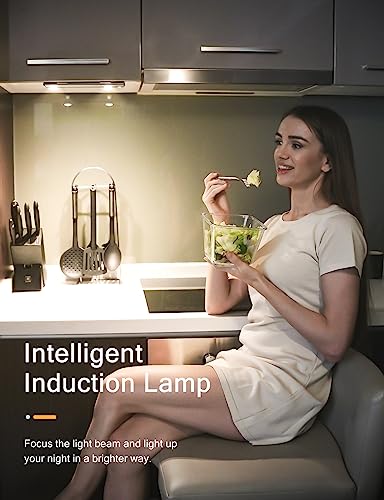 Under Cabinet Lights (2 Count)