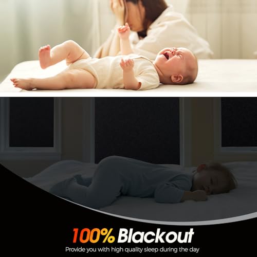 Blackout Window Privacy Film