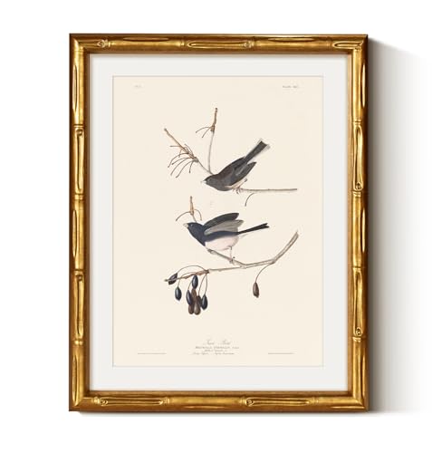 Bamboo Detail Design Gold Framed Wall Art Kitchen Decor