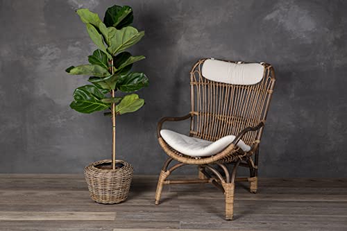 Rattan Planter Basket Plant Pot Holder 3.5